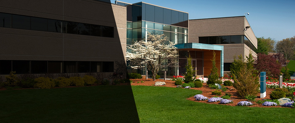 Woodbury Landscapers