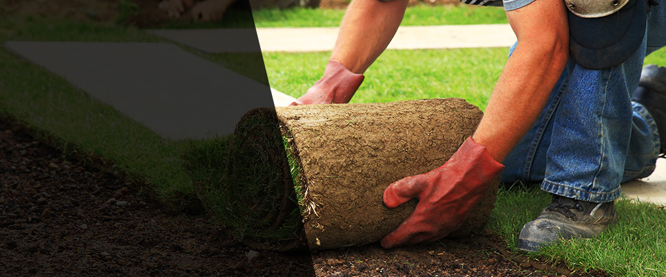 Woodbury Landscapers